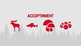 Презентация Дикоед для HoReCa