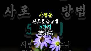 사람을 사로잡는방법 5가지 #자기계발 #오늘의명언 #지혜