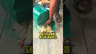 그는 4년간 저축한 돼지 저금통을 부수었습니다