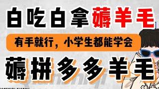 拼多多薅羊毛赚钱项目，在家兼职赚钱可以养活自己的小项目，详细讲解赚钱方法，另外分享一个免费实战网赚项目