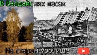 Коп 2015. В Валдайских лесах на старом урочище. Search with a metal detector in the wild