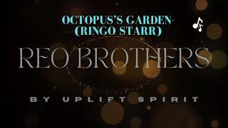 Octopus's Garden - The Beatles cover by Reo Brothers Live in Canada #torontomusic #beatles