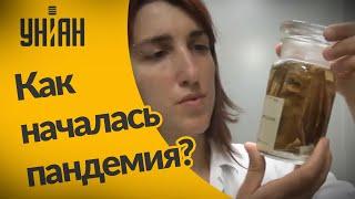 Как началась пандемия и каково происхождение коронавируса?