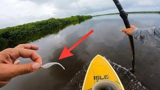 Using Crappie jigs in Saltwater Mangroves