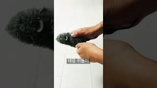 다이소 가성비 고양이 장난감(feat.몽글) cat toy #다이소 #고양이장난감 #고양이 #쥐돌이 #cat #toys