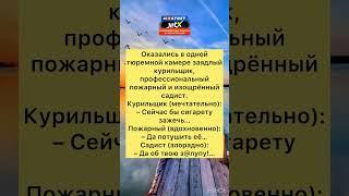 Анекдот трое из ларца #анекдоты #шутки #приколы #радость #юмор #смех