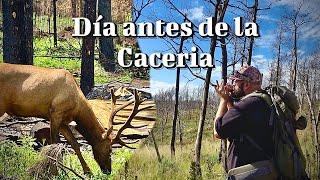 Dia antes de la caceria de Elk!️