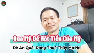 Ai Cũng Tưởng Qua Mỹ Để Hốt Tiền Mỹ Dễ Lắm!? Tôi Đóng Thuế Thấy MỢ luôn nè!