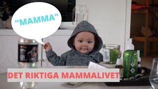 DET RIKTIGA MAMMALIVET | Vlogg