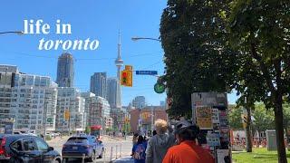 life in toronto  | 토론토 브이로그, 토론토의 여름, toronto outdoor picture show, 런데이, 고양이일상