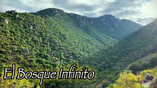 SIERRA DE LÍJAR, CIRCULAR INTEGRAL desde el Área Recreativa del NACIMIENTO. CÁDIZ.