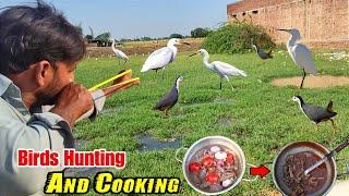 Slingshot Fantastic Birds Hunting And Delicious Cooking!