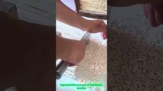Segmentation process of handmade noodles