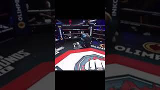 Суету навели ️ подпишись #топ #тренды #хочувтренды #мма #суета #топдог #hardcore #хардкор
