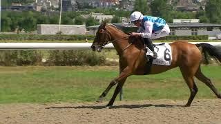 Championnat France Sire Poneys 2022: Prix Christophe Soumillon (Poneys C Elite)