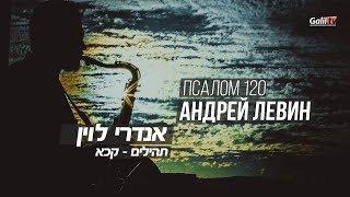 Псалом 120    Андрей Левин. Израиль