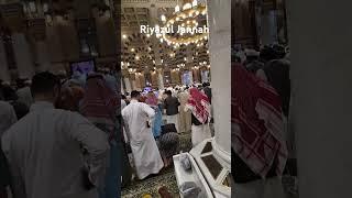 Riyazul Jannah - Madinah #umrahtrip #islamicpilgrimage #travel #madinah #saudiarabia