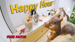 Movie Squirrels Nut Bar 3 - Happy Hour