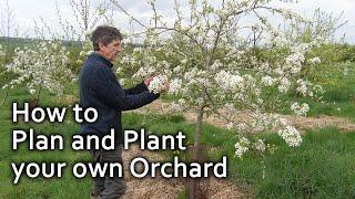 How to Plan and Plant your own Orchard