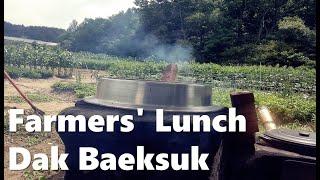 Farmers' Lunch Dak Baeksuk