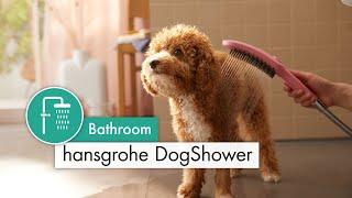 hansgrohe DogShower