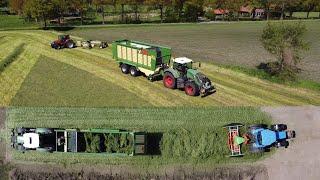 Geurs grass silage