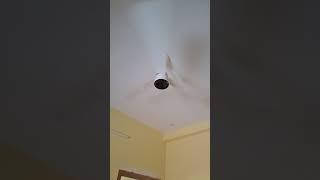 Link in description | atomberg Renesa Enzel 1200mm BLDC Ceiling Fan with Remote Control