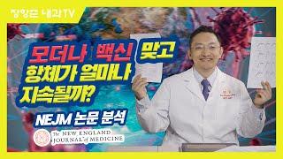 제98강:모더나 백신 맞고 항체가 얼마나 지속이 될까?