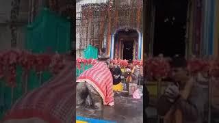 केदारनाथ दर्शन | केदारनाथ सुबह की आरती | हर हर महादेव