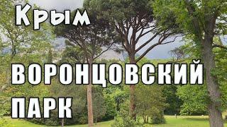 Воронцовский парк - зелёное очарование Алупки. Крым 2022.