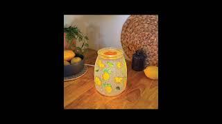 #Scentsy Warmer & Wax Bar for June