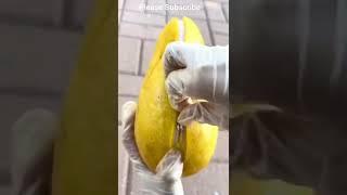 Lab Grown Mango with its own Zipper 