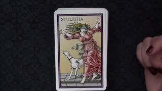 The Tarot of the Sevenfold Mystery