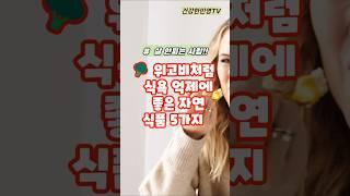 위고비처럼 식욕 억제에 좋은 자연식품 5가지#shorts #건강 #건강정보