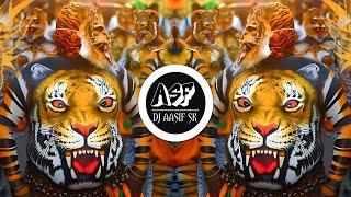 Tiger Dance  | Sandal Version | ( Bass Mix) | DJ Aasif SK