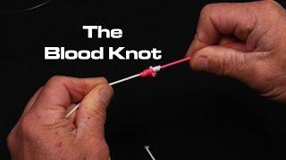 Line to Line | The Blood Knot | Saltwater Experience