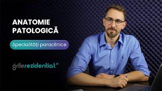 II.15. Anatomie patologică @ Cum să-ți alegi specialitatea într-un mod informat