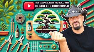 Top 5 Bonsai Tools to Work on Your Trees!