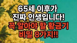 65세 이후가 진짜 인생인 8가지 이유 / 인생 2막, 자유와 행복을 누리는 법 #삶의지혜 #행복한노년 #6070세대