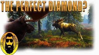 The Perfect Diamond Animal? Layton Lakes Hunt in theHunter Call of the Wild!