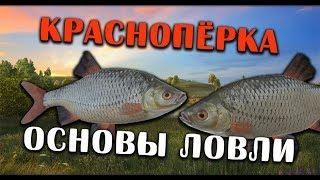 РУССКАЯ РЫБАЛКА 4. Краснопёрка. Где и на что ловить? Фарм серебра на Суре на Махи.