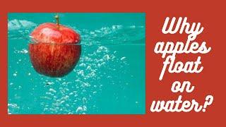 Why apples float on water?