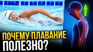 Чем полезно плавание и как оно влияет на наш организм? 10 ПРИЧИН ЗАНЯТЬСЯ ПЛАВАНИЕМ