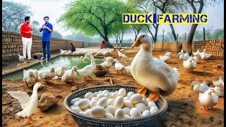 Amezing White Picking Duck Farming | 350 টা হাঁসে কত টাকা আয় | Duck Farm | Duck Farm in West Bengal