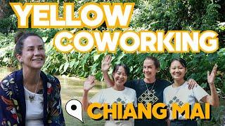 BEST Co Working in Chiang Mai - Yellow Co Working Space and Patty's Incredible Story