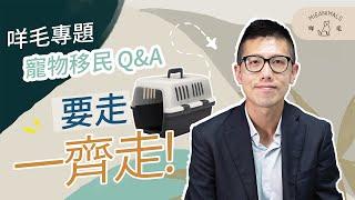 【 寵物移民】 Q&A !  要走，一齊走！寵物移民有什麼要注意？