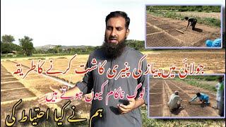 Onion farming in July گرمیوں میں پیاز کی کاشت |Onion nursery preparation and cultivation |IR FARMS