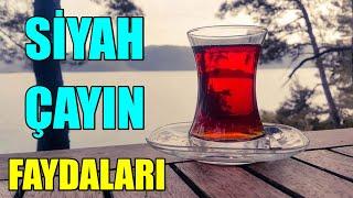 SİYAH ÇAYIN FAYDALARI