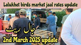 Lalukhet birds market jaal rates update/2nd mar 2025 update