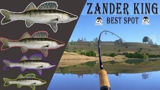 Big Zander Spot Tutorial on Sura [Russian Fishing 4]